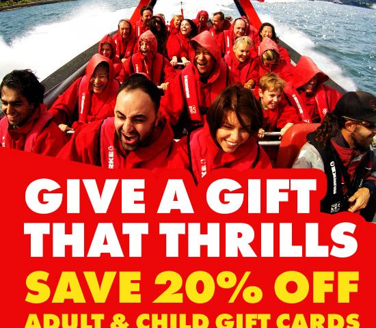 Save 20% Off Adult & Child Gift Cards